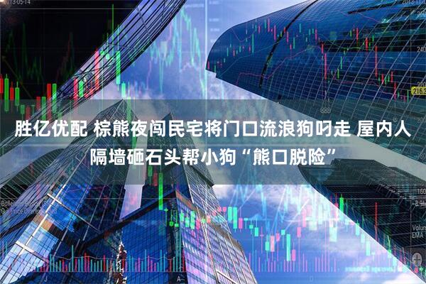 胜亿优配 棕熊夜闯民宅将门口流浪狗叼走 屋内人隔墙砸石头帮小狗“熊口脱险”