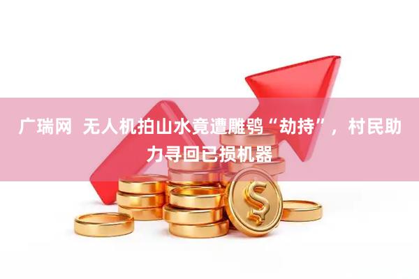 广瑞网  无人机拍山水竟遭雕鸮“劫持”，村民助力寻回已损机器